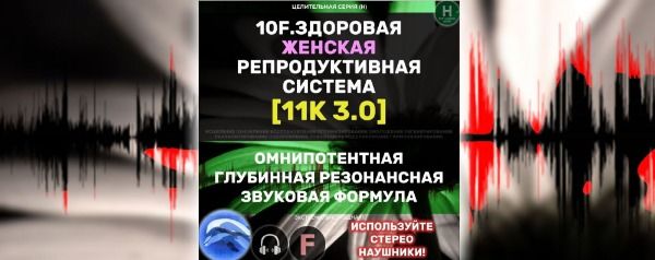 H10F_RUS (2).jpeg