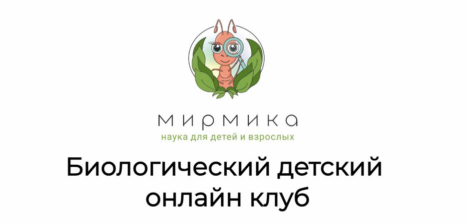 !Снимок.jpg