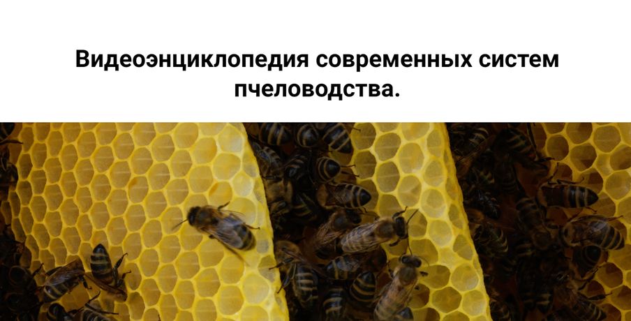 !Снимок.jpg